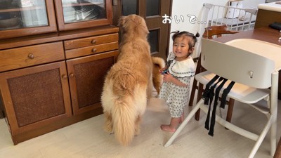 誰かが来た！！