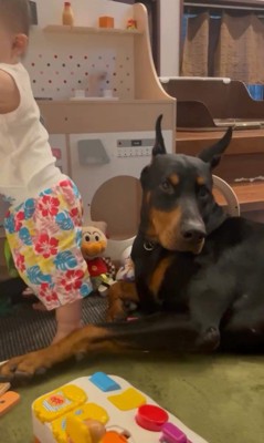 テンくんとニルくんの違い