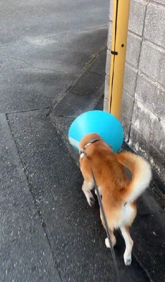 引っかかっても気にしない