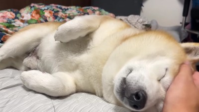 気持ちよさそう♡