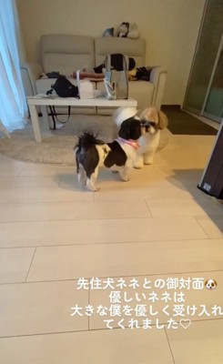 ムーくんとネネちゃん