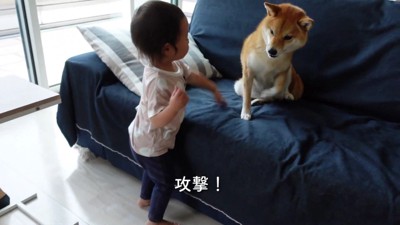 花子ちゃんに反撃！