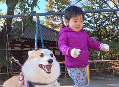 やる気