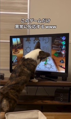 ゲームに興味津々のググくん5