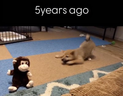 驚いて前足がピョンッ