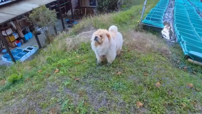 まったく気にしてない！