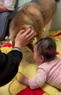 おはぎちゃん、優しいね