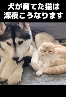 そっくりな表情にキュン♡