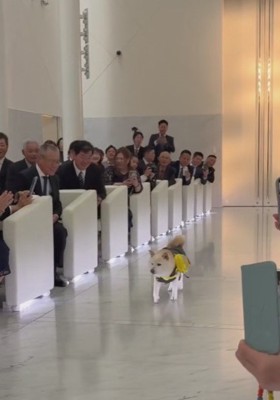 寄り道もせず新郎新婦の元へ