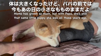 睡魔に負けてスヤスヤ…
