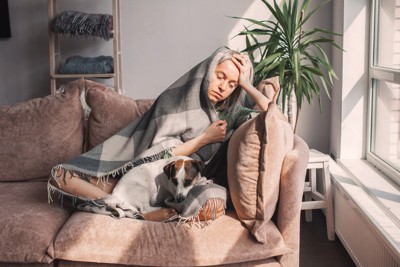 頭を抱える人、寄り添うジャックラッセルテリア