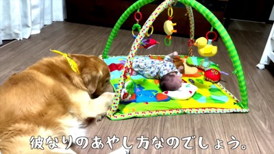 結果的にはあやせた!?