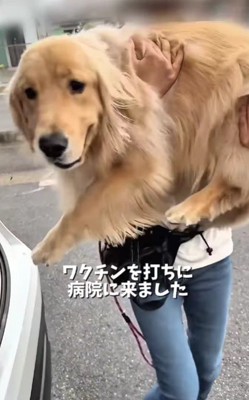 動物病院に来たら…