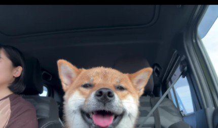 くま丸くんもニコニコ笑顔に…♪