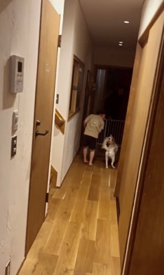 尻尾ブンブンッ