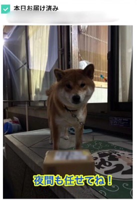 いつでも荷受けするよ♪