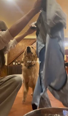 初めてカッパを着たライトくん3