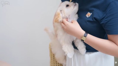 抱っこされるぽぬちゃん