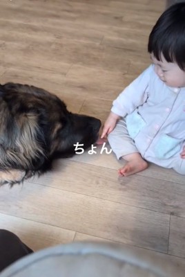 繰り返す娘さん