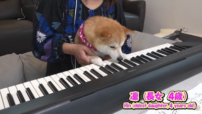 凛ちゃんは興味津々！