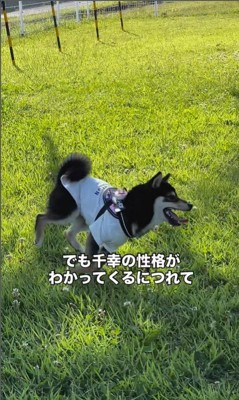 千幸ちゃんとご家族の1年間3
