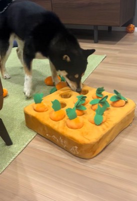 知育おもちゃで遊ぶくろべえ君3