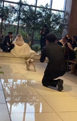 なんとか上座の方へ…