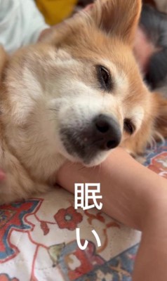 家族の腕に抱かれて…