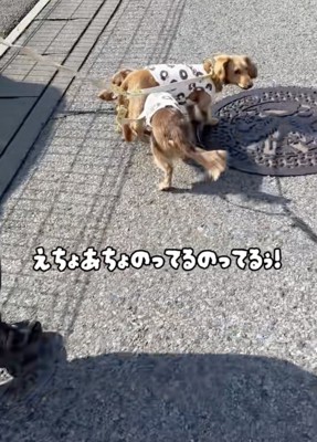 運ばれるよよたん