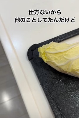 まな板と白菜