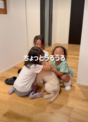 子犬を抱きしめる女の子たち