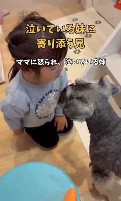 女の子に寄り添うこたろう君2