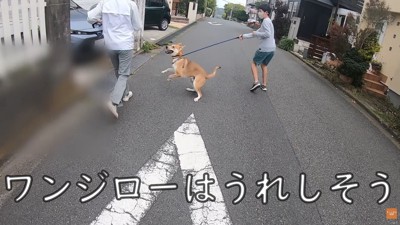散歩中にお母さんに会った時のワンジローくん8