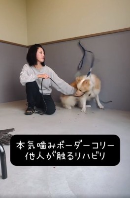 噛みつこうとするそらくん