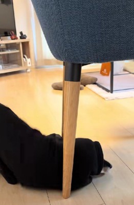 まるでカオナシ