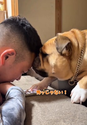 男性の頭に顔をくっつける犬