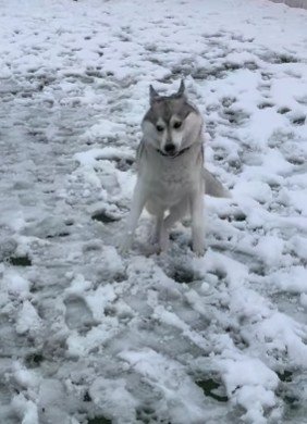 いきいきしてる♪