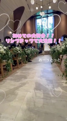 カゴを口に咥えたまま、来た道を引き返そうとする犬