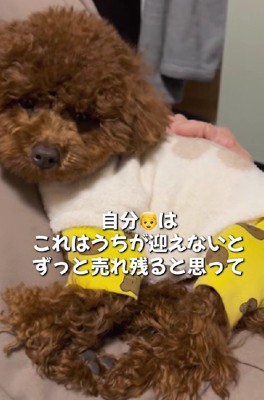 どうしても放っておけない