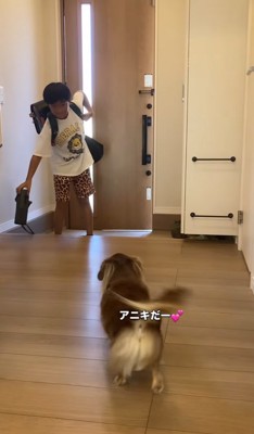 子供を出迎える小型犬