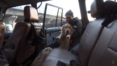 車に乗せられるジョイくん