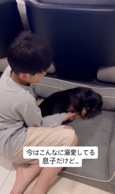 優しい空気が流れています