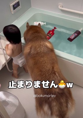 止まらないイタズラ