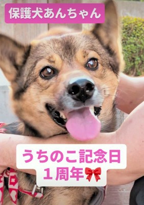 こんなに変わったよ!!