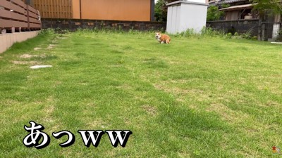 突然のトイレタイム(笑)
