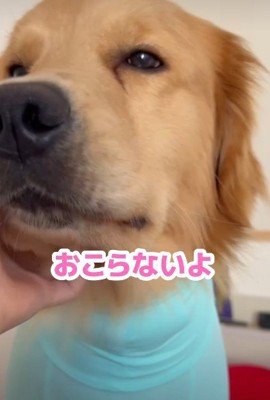 テンションダダ下がり…