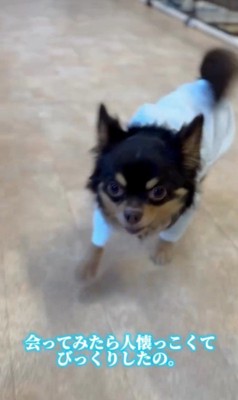 幸せを掴んだしずと君4