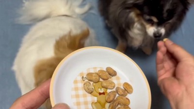 フリーズドライ納豆なら?