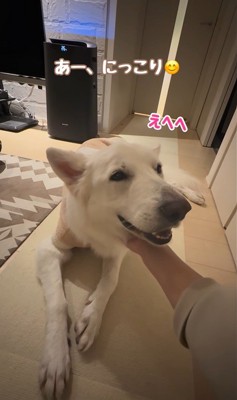 れお君の表情の変化⑩