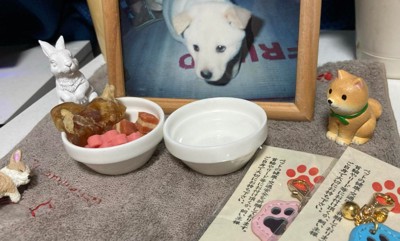 お供え物が消えている！？